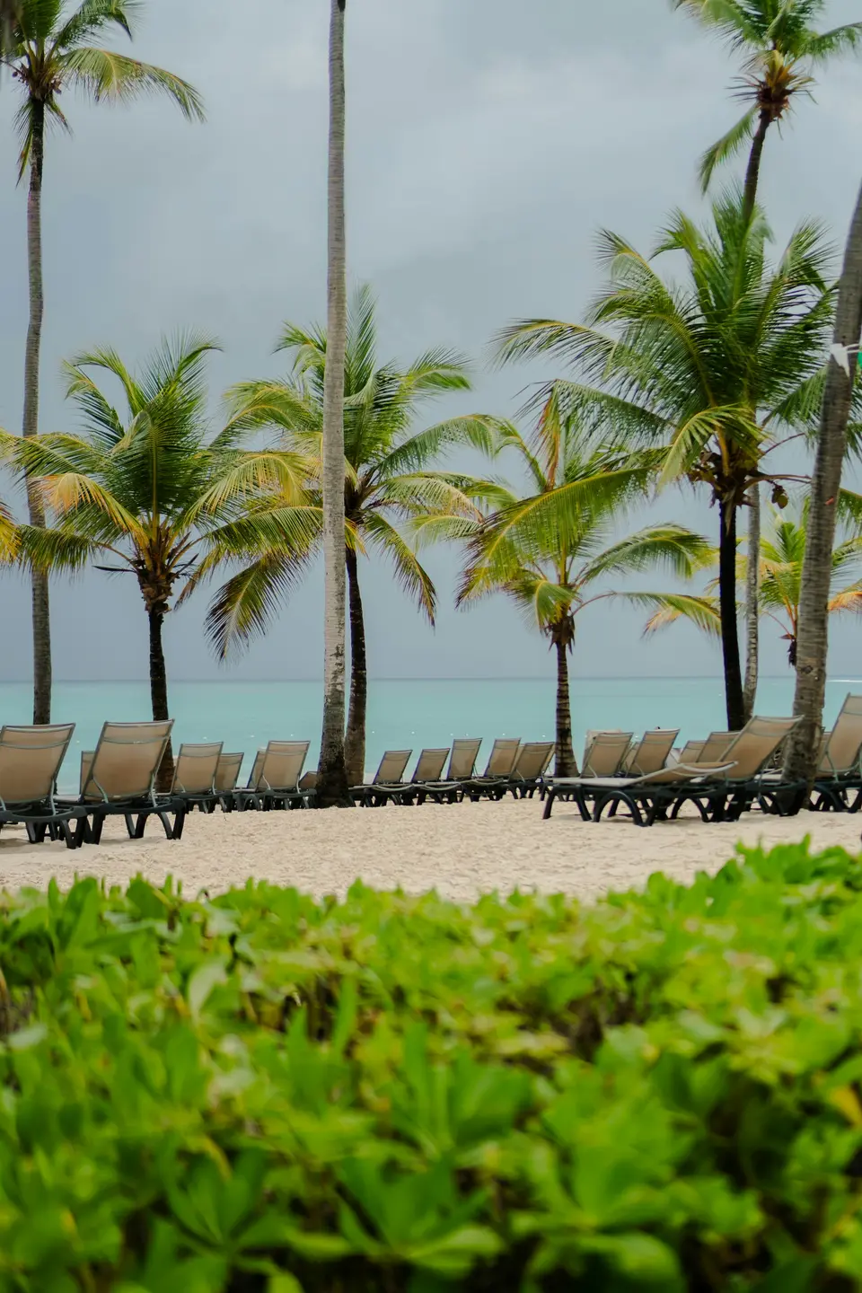 La plage privée
